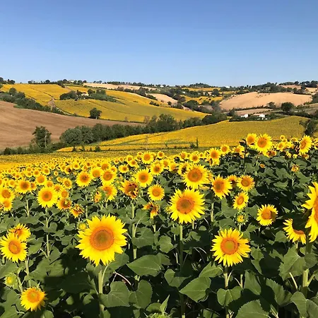 Rustic Escape With Dream Pool * 세니갈리아