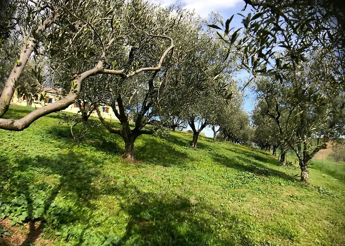 Apartment Rustic Escape With Dream Pool *