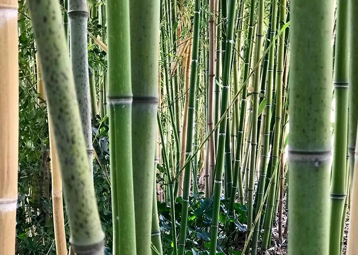 Rustic Escape With Dream Pool Senigallia